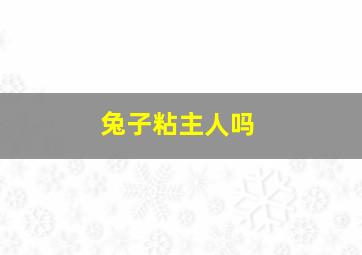 兔子粘主人吗