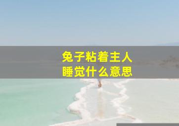 兔子粘着主人睡觉什么意思