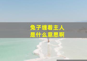 兔子缠着主人是什么意思啊