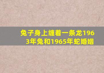 兔子身上缠着一条龙1963年兔和1965年蛇婚姻