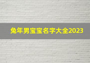 兔年男宝宝名字大全2023