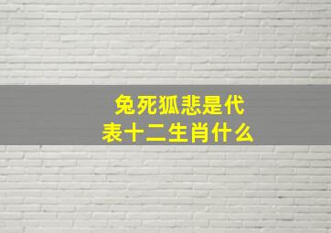 兔死狐悲是代表十二生肖什么