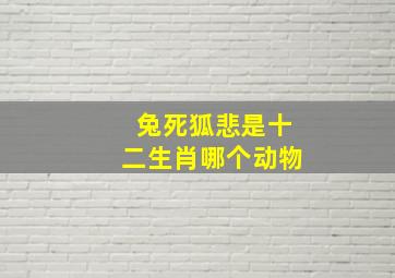 兔死狐悲是十二生肖哪个动物