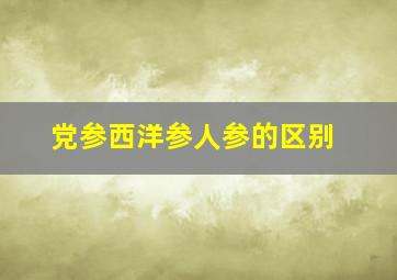 党参西洋参人参的区别