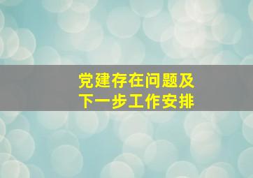 党建存在问题及下一步工作安排