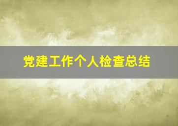 党建工作个人检查总结