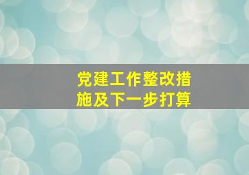 党建工作整改措施及下一步打算