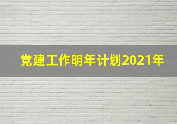 党建工作明年计划2021年