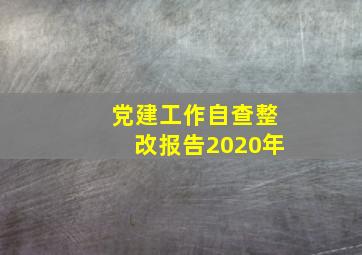 党建工作自查整改报告2020年