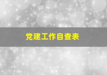 党建工作自查表