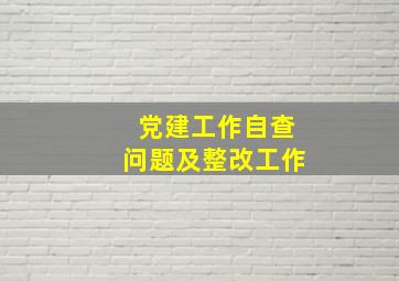 党建工作自查问题及整改工作