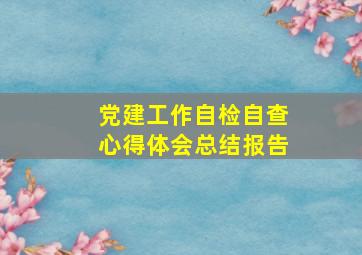 党建工作自检自查心得体会总结报告