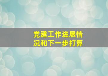 党建工作进展情况和下一步打算