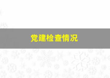 党建检查情况