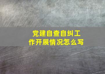 党建自查自纠工作开展情况怎么写