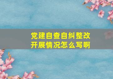 党建自查自纠整改开展情况怎么写啊