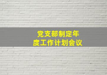 党支部制定年度工作计划会议