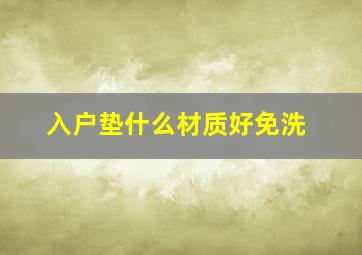 入户垫什么材质好免洗