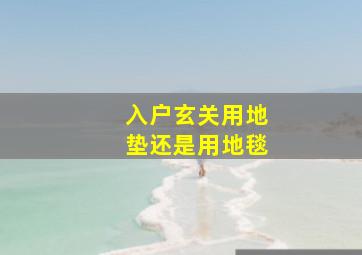 入户玄关用地垫还是用地毯