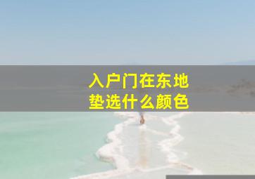 入户门在东地垫选什么颜色