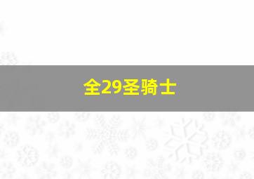 全29圣骑士