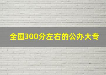 全国300分左右的公办大专