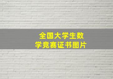 全国大学生数学竞赛证书图片