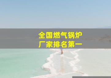 全国燃气锅炉厂家排名第一