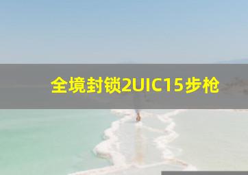 全境封锁2UIC15步枪