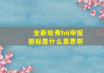 全新哈弗h6申报图标是什么意思啊