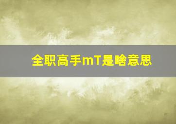 全职高手mT是啥意思