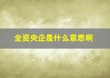 全资央企是什么意思啊