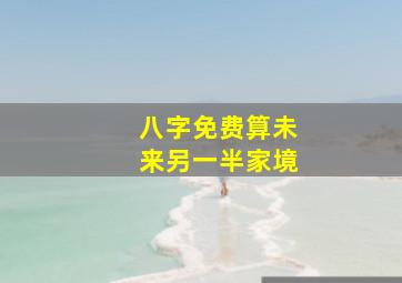 八字免费算未来另一半家境