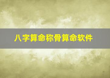 八字算命称骨算命软件