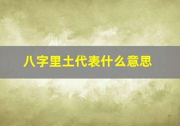 八字里土代表什么意思