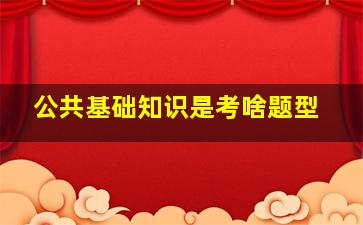 公共基础知识是考啥题型