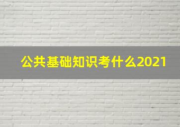 公共基础知识考什么2021