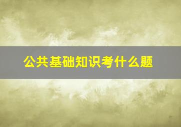 公共基础知识考什么题