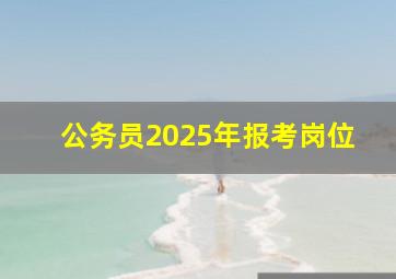 公务员2025年报考岗位