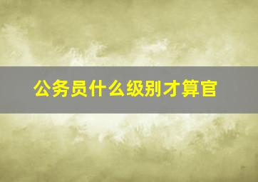 公务员什么级别才算官