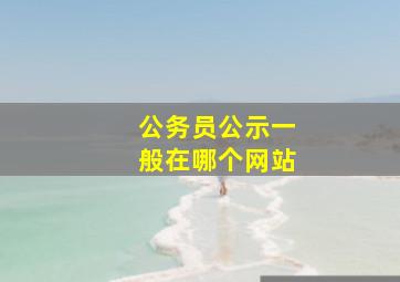 公务员公示一般在哪个网站