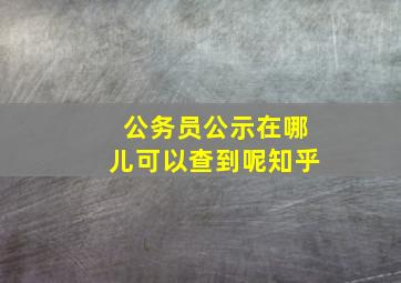 公务员公示在哪儿可以查到呢知乎