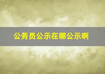 公务员公示在哪公示啊