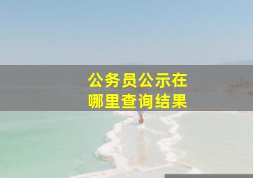 公务员公示在哪里查询结果