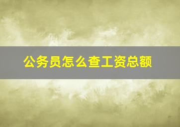 公务员怎么查工资总额