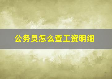 公务员怎么查工资明细