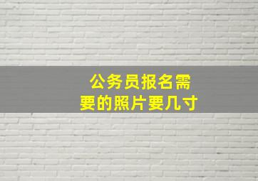 公务员报名需要的照片要几寸