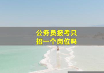 公务员报考只招一个岗位吗