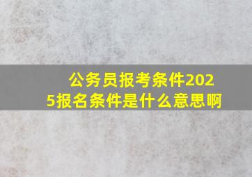 公务员报考条件2025报名条件是什么意思啊