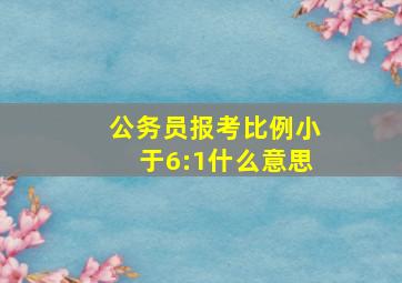 公务员报考比例小于6:1什么意思